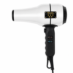 Wahl Professional 5-Star Barber Dryer 1600W Ionic Tourmaline Dryer with Retro Chrome Finish 5054
